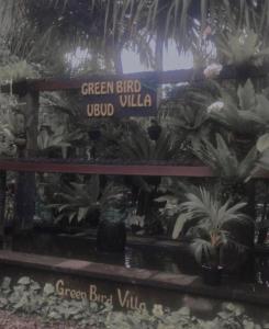 green bird villa