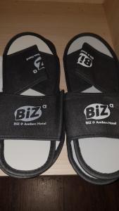 biz hotel
