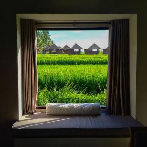 ubud