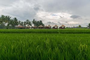 solo villas and retreat
