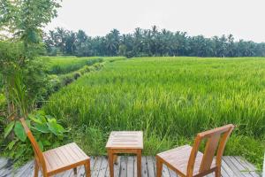 solo villas and retreat