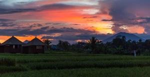 solo villas and retreat