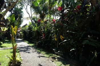 suastika bed and breakfast