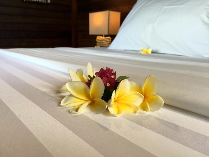 twin island villas adults only