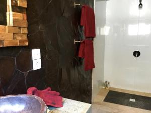 twin island villas adults only