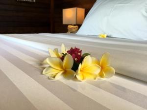 twin island villas adults only
