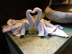 twin island villas adults only