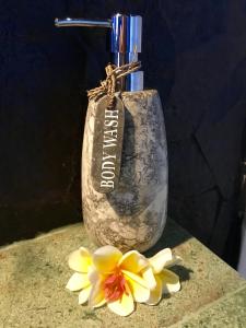twin island villas adults only