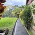 dupa ubud villa