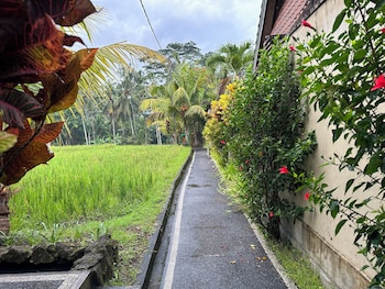 dupa ubud villa