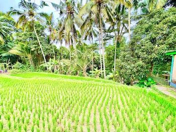 dupa ubud villa
