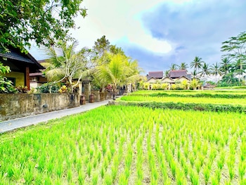 dupa ubud villa