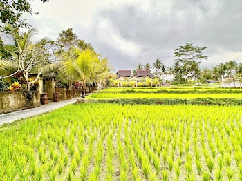 dupa ubud villa