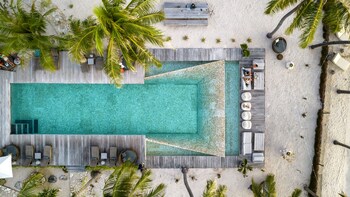 seed resort