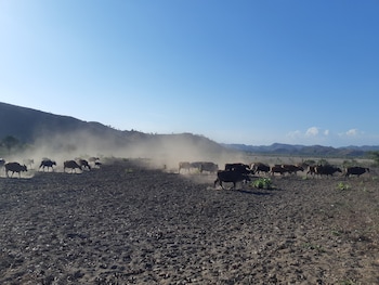 Harmony Villas Lombok,Kuta Beach>>Kuta,4 star