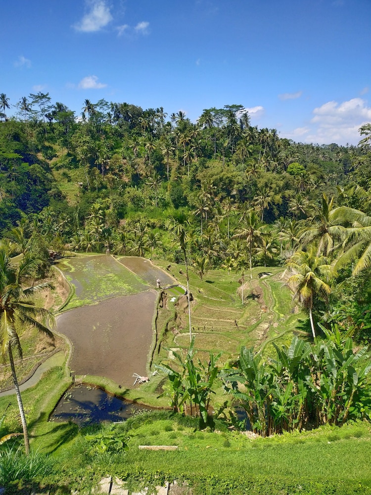 suarapura resort and spa