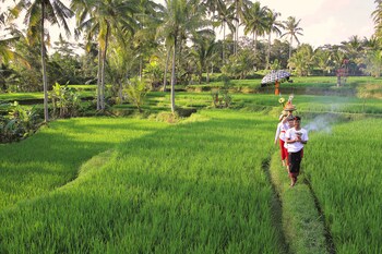 madani antique villas