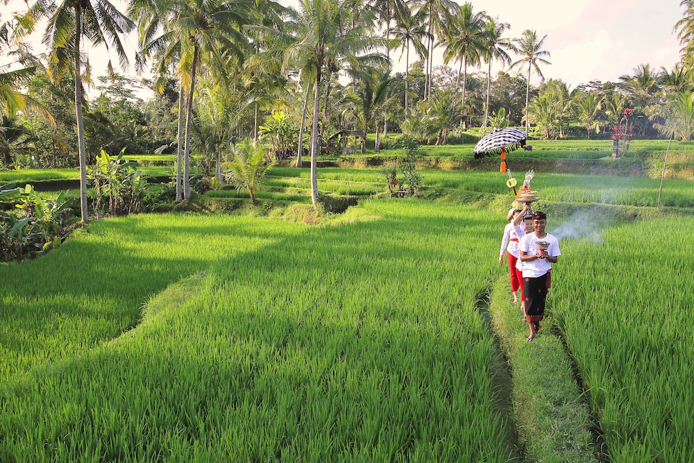 madani antique villas