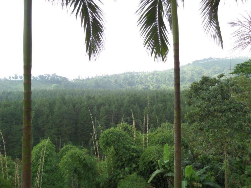 sukapura permai hotel