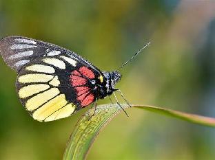 grand citihub hotel kartini