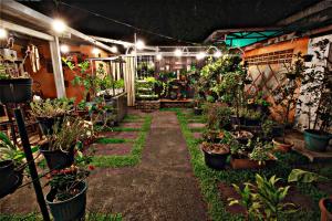 fora guest house taman lingkar