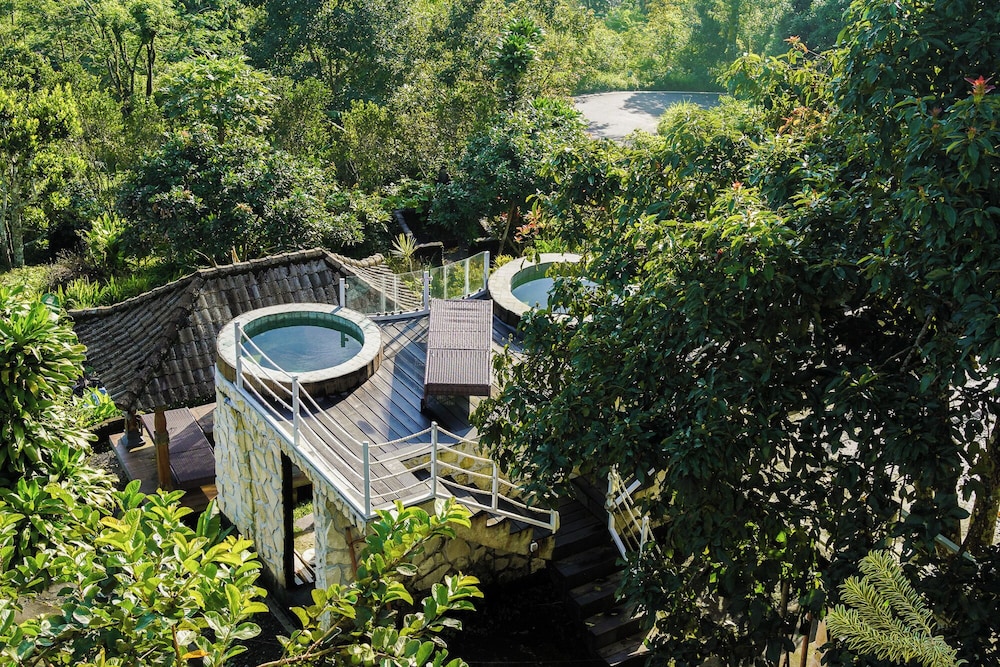 kintamani