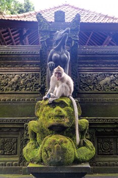 nyoman badri homestay