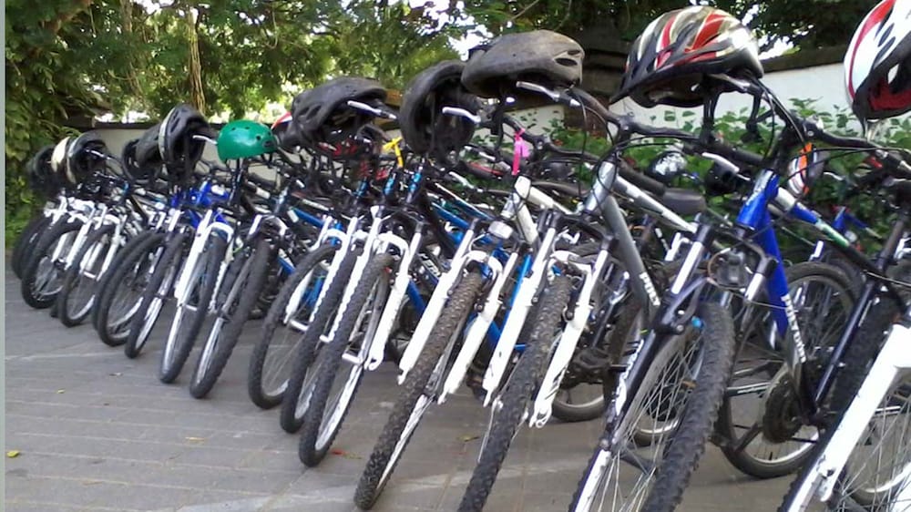 nyoman badri homestay