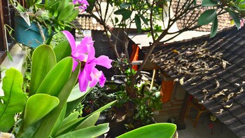 nyoman badri homestay