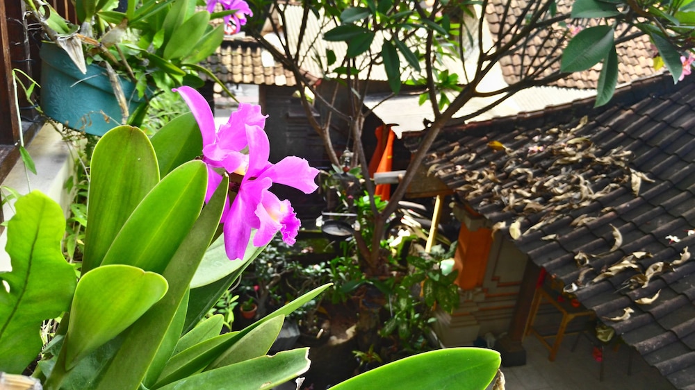 nyoman badri homestay