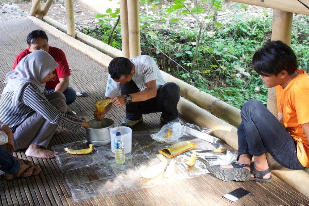 bukit lawang