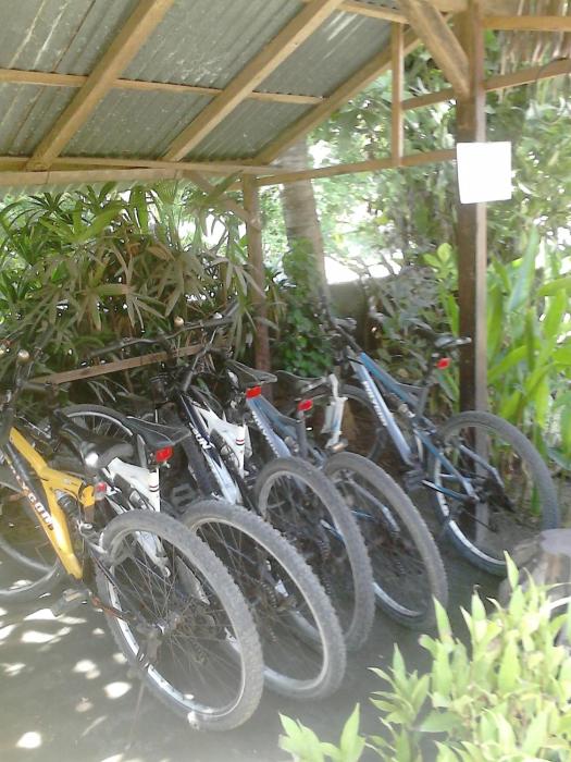 pande guest house pemuteran