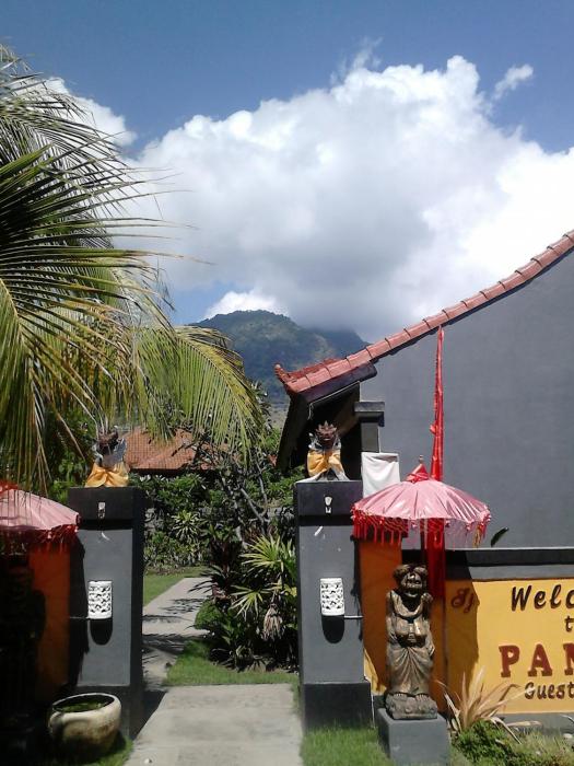 pande guest house pemuteran
