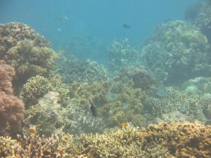 pande guest house pemuteran