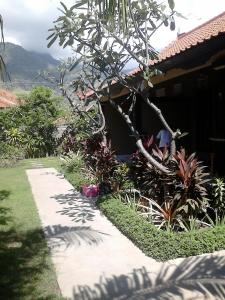 pande guest house pemuteran