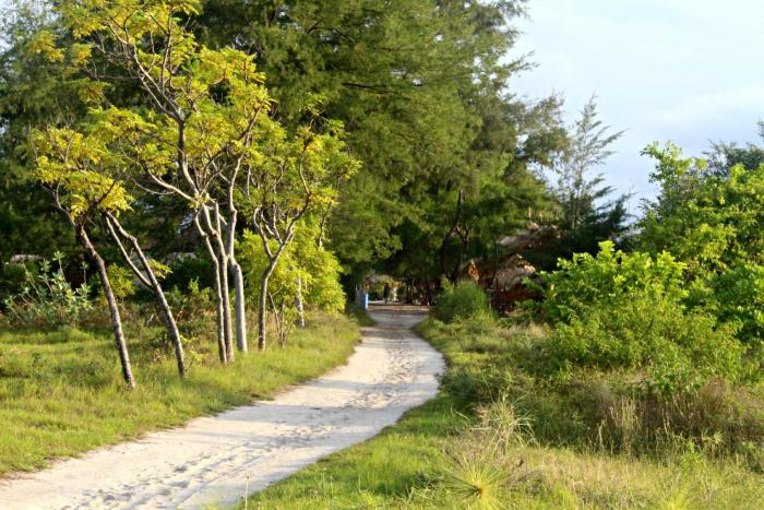 panda cottage hostel