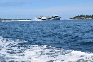 panda cottage hostel