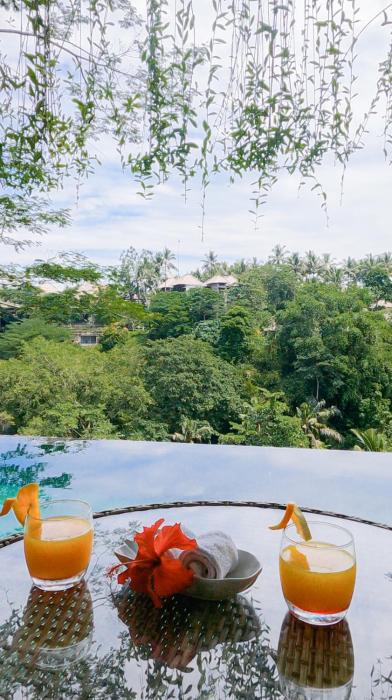 the hidden paradise ubud