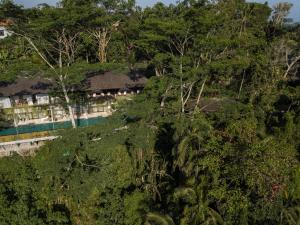 the hidden paradise ubud
