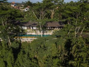 the hidden paradise ubud