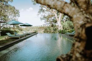 the hidden paradise ubud