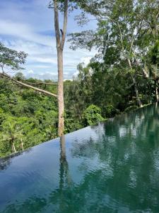 the hidden paradise ubud