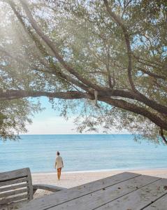 Wilsons Retreat,Gili Islands>>Bali,4 star