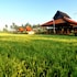 tegallalang