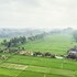 tegallalang