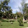 biorock homestay