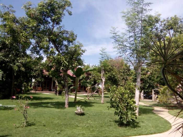 biorock homestay