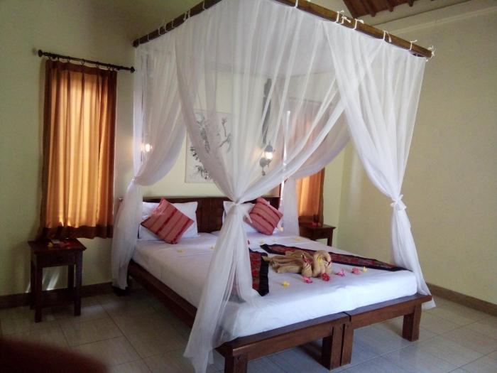 biorock homestay