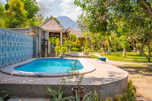 biorock homestay