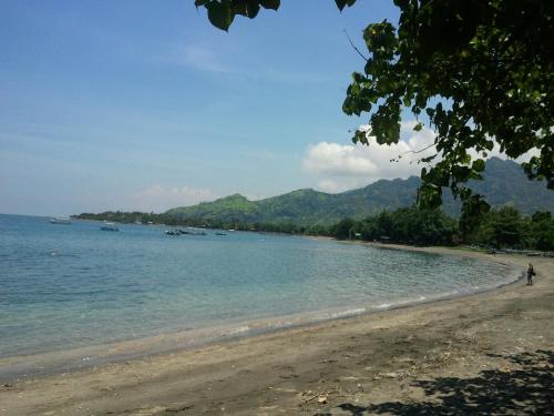 biorock homestay